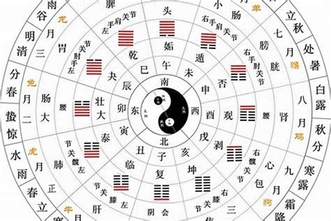 10天干12地支|十二天干地支对照表 十天干和十二地支详解